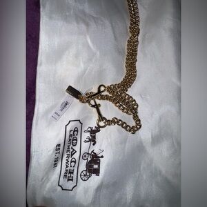 Coach Gold Chain Shoulder Strap